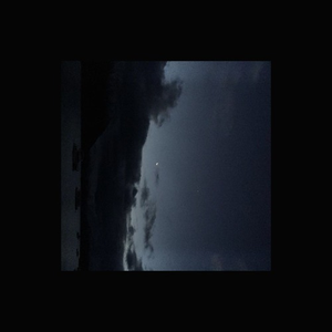 美女和禽兽交配的裸体视频全部免费看
